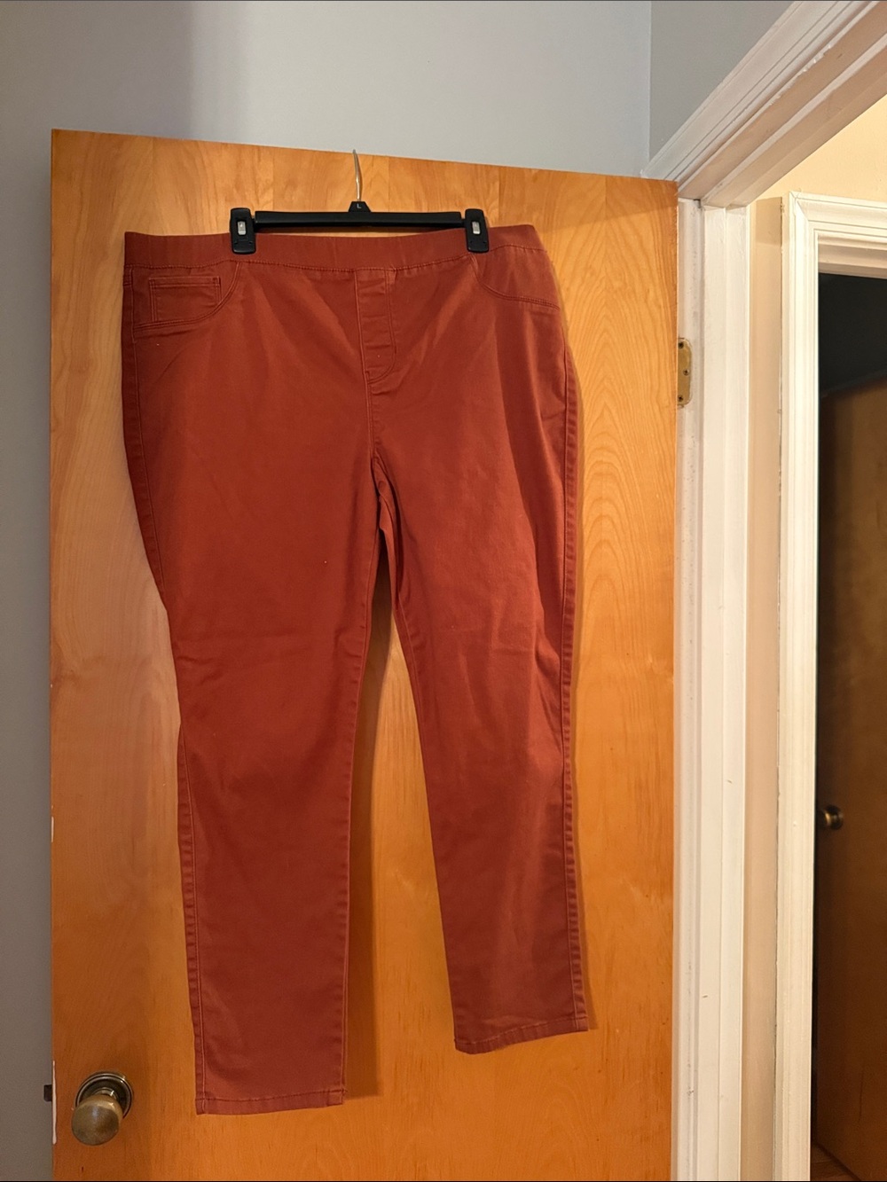 Natural Reflections Straight Leg Pants in Rust